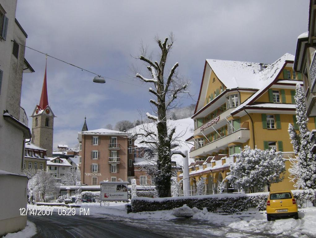 Hotel Schweizerhof Weggis Exterior photo