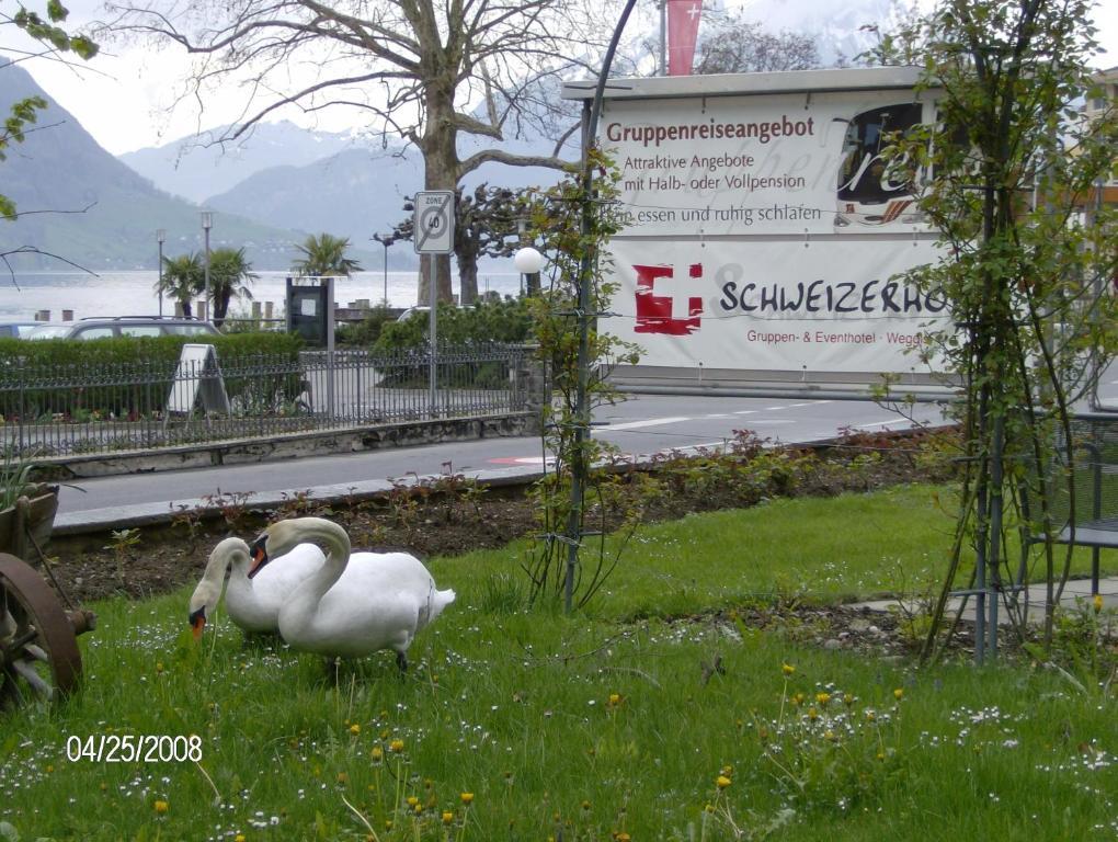 Hotel Schweizerhof Weggis Exterior photo